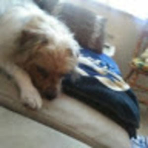 Meet your Posher, Cindy